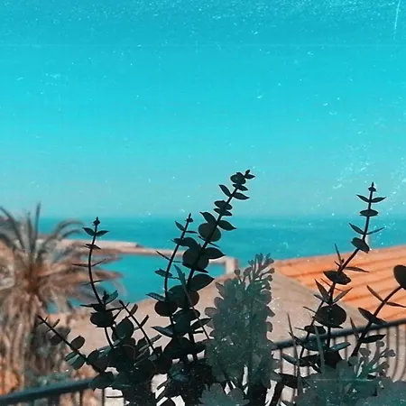 Domus Con Vista Mare - Jr02 * קאסטלסארדו